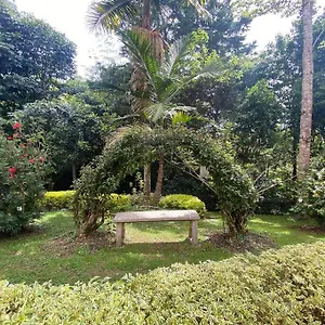 Apto En Zona Campestre En San Antonio (Antioquia)